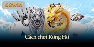 Cách Chơi Rồng Hổ – Bí quyết chiến thắng làm chủ cuộc chơi