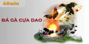 Đá Gà Cựa Dao – Hướng Dẫn Tham Gia, Mẹo Chơi Và Đặt Cược